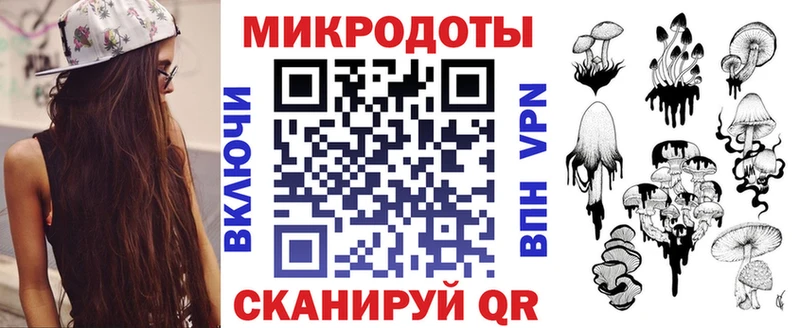 Купить  Борзя  Псилоцибиновые грибы Psilocybine cubensis 